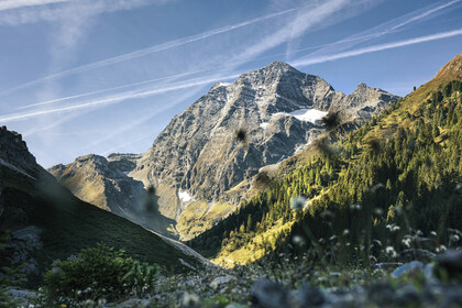 frechdax apaertments stubai